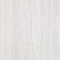Elm Siberian